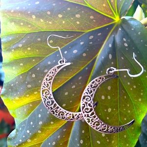 Pair of crescent moon earrings